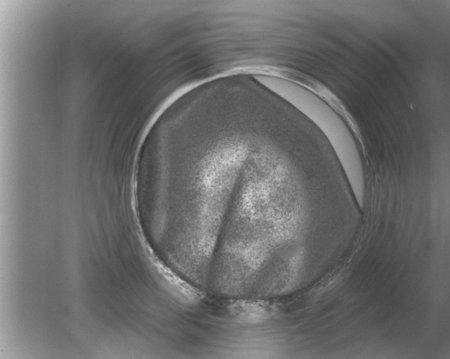 X0000080150955200612221945