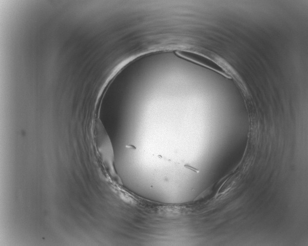 X0000080150956200612221946