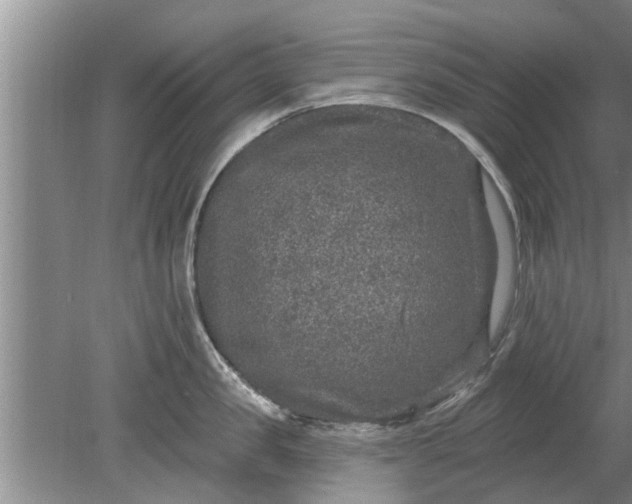 X0000080150957200612221946