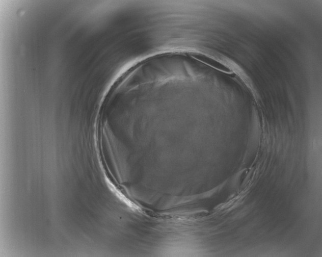 X0000080150958200612221946