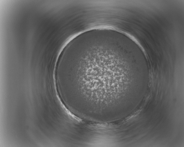 X0000080150959200612221946