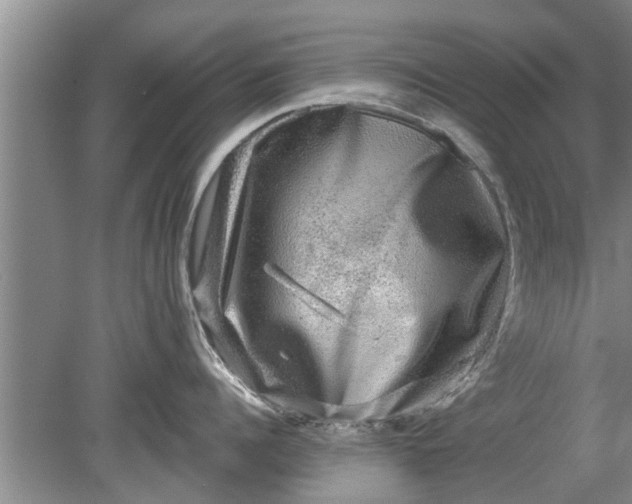 X0000080150960200612221946