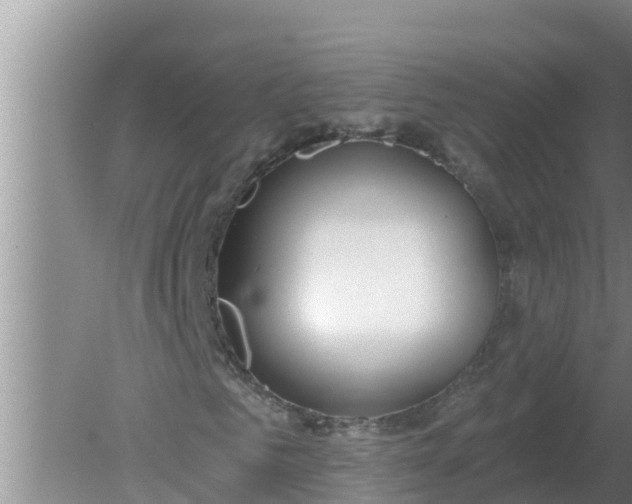 X0000080150961200612221945