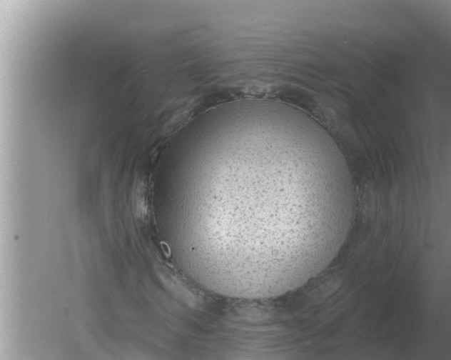 X0000080150962200612221945