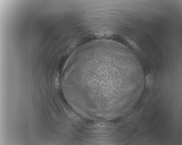 X0000080150963200612221945