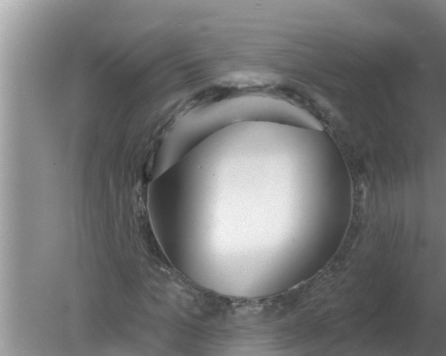 X0000080150965200612221945