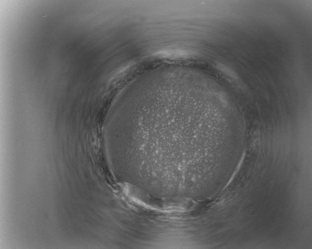 X0000080150966200612221945