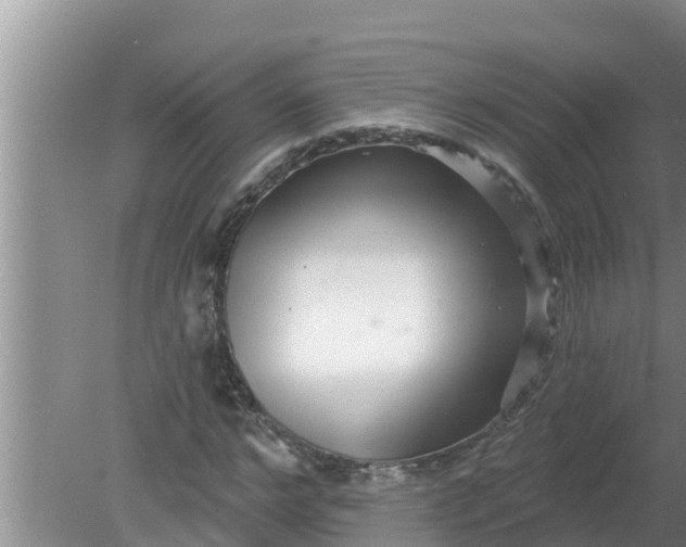 X0000080150968200612221945