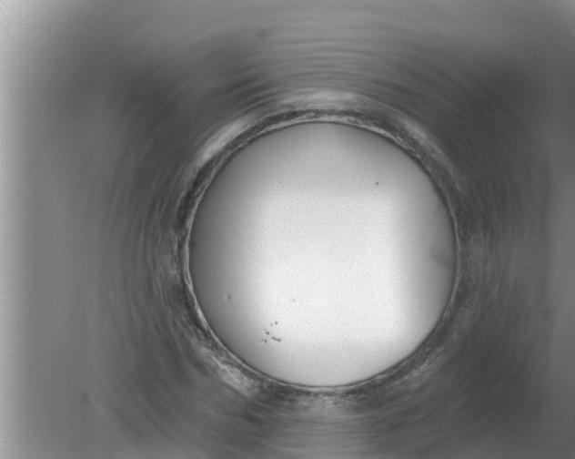 X0000080150970200612221945