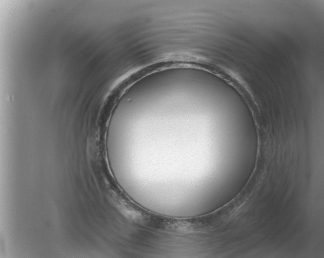 X0000080150971200612221945