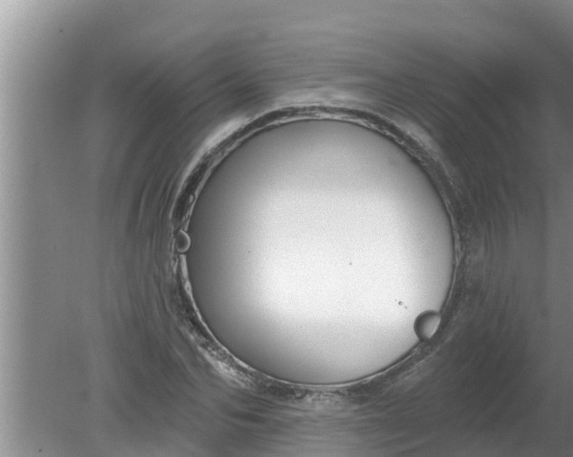 X0000080150974200612221945