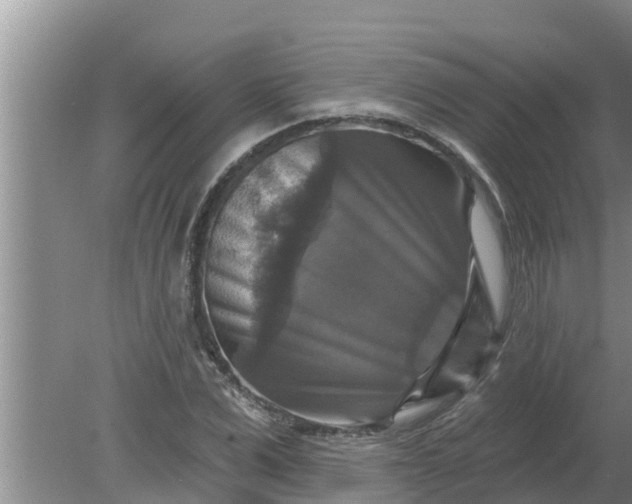 X0000080150975200612221945