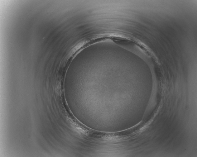 X0000080150977200612221945