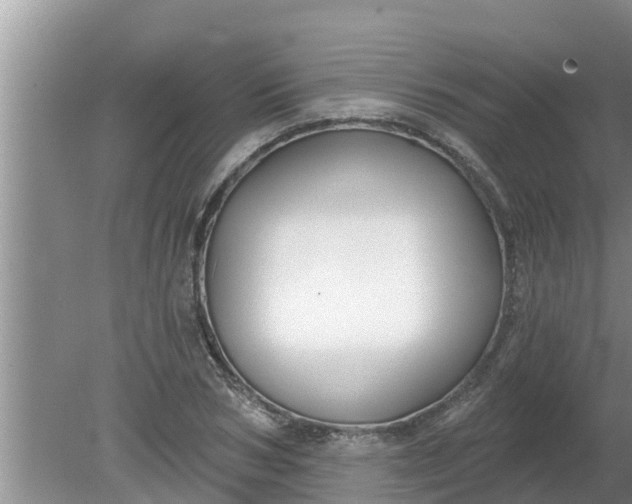 X0000080150978200612221944