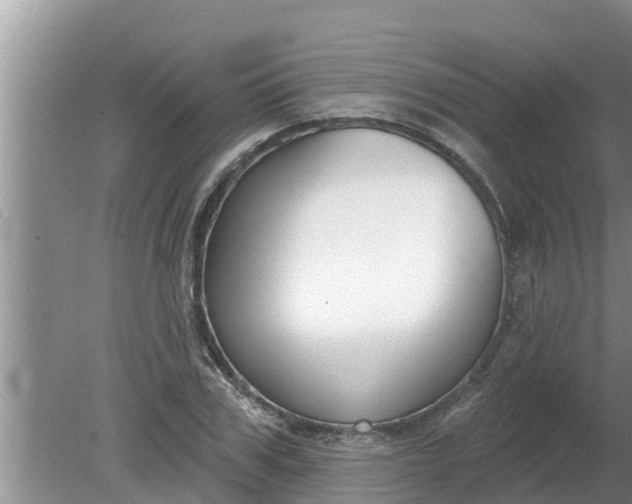 X0000080150979200612221944