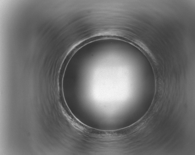 X0000080150980200612221944