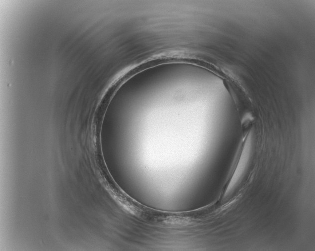 X0000080150981200612221944