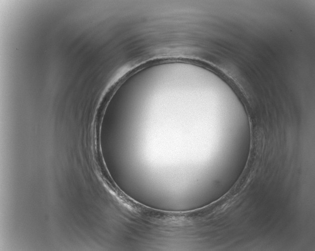 X0000080150982200612221944