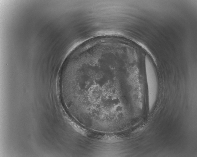 X0000080150983200612221944