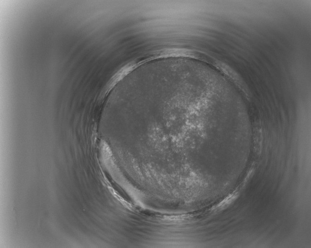 X0000080150985200612221944