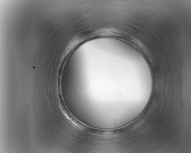 X0000080150986200612221944