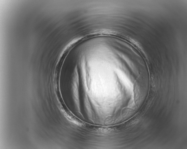 X0000080150987200612221944