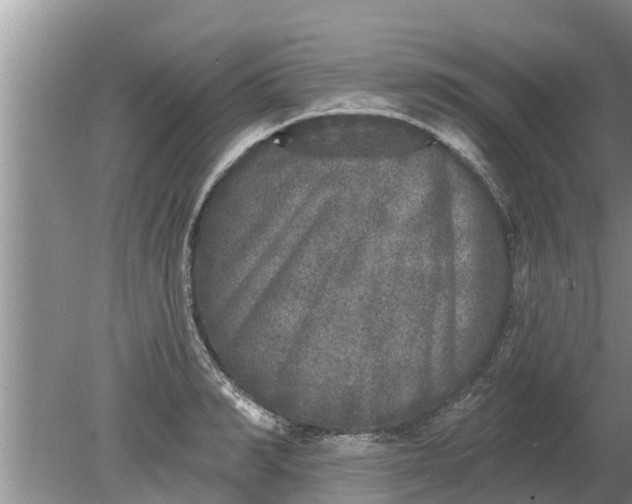 X0000080150990200612221944