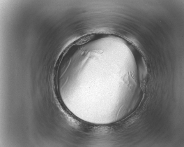 X0000080150991200612221944