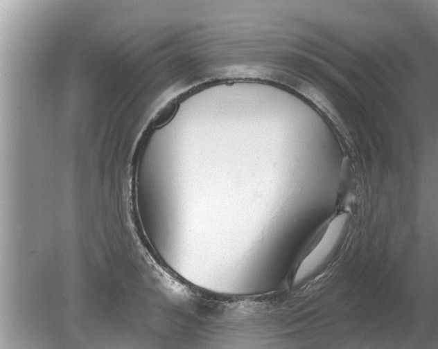 X0000080150992200612221944