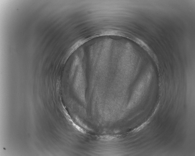 X0000080150993200612221944