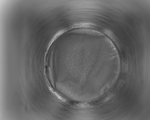 X0000080150994200612221944