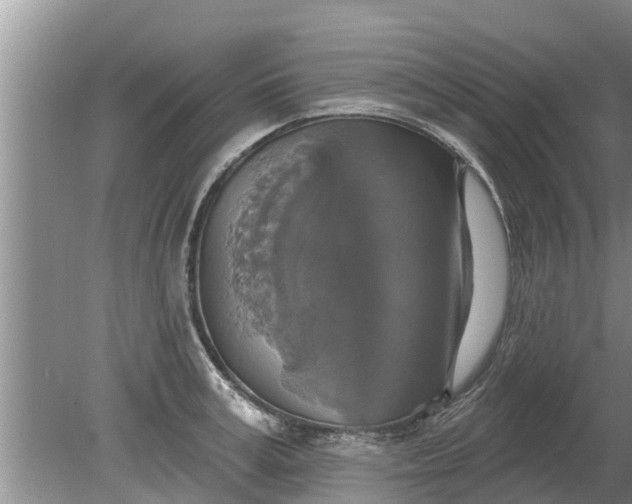 X0000080150995200612221944