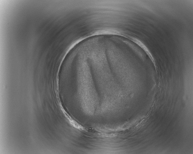 X0000080150996200612221944