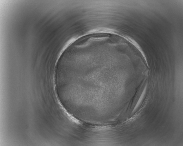 X0000080150997200612221944