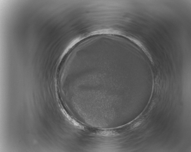 X0000080150998200612221944