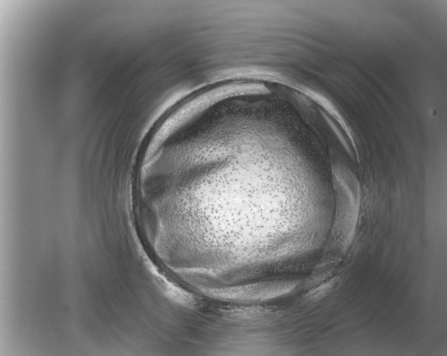 X0000080150999200612221944