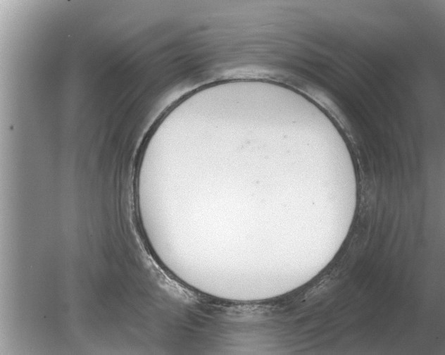 X0000080151000200612221944