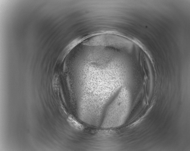 X0000080151001200612221944