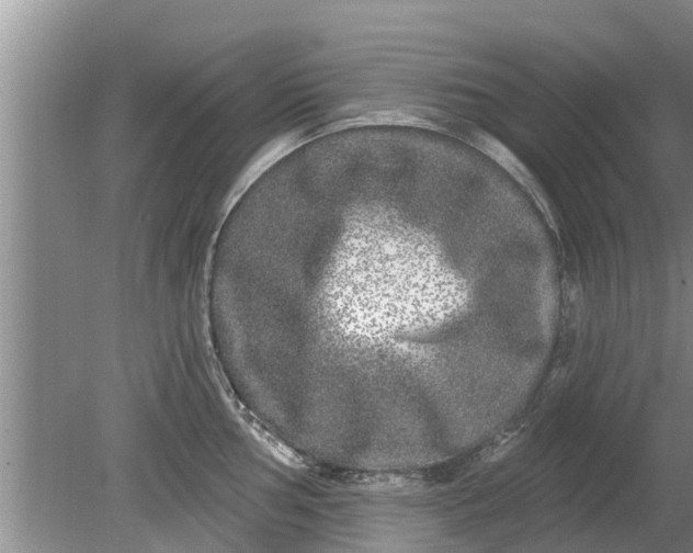 X0000080151002200612221944