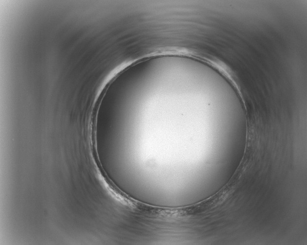 X0000080151003200612221944