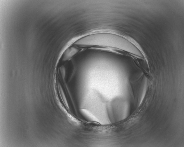 X0000080151005200612221944