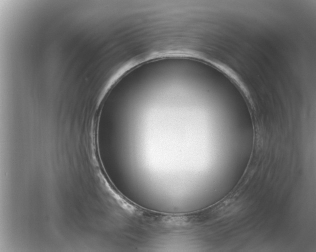 X0000080151006200612221944