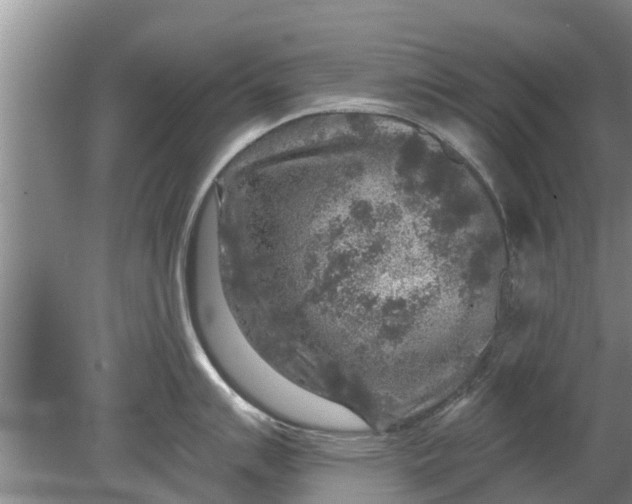 X0000080151007200612221944