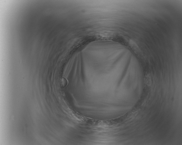 X0000080151009200612221943