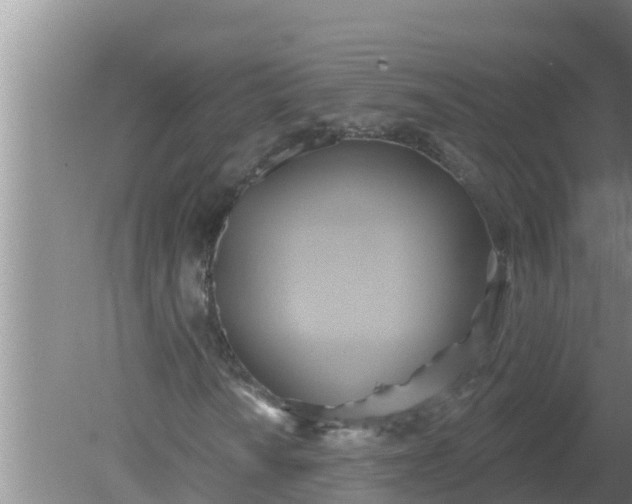 X0000080151010200612221943