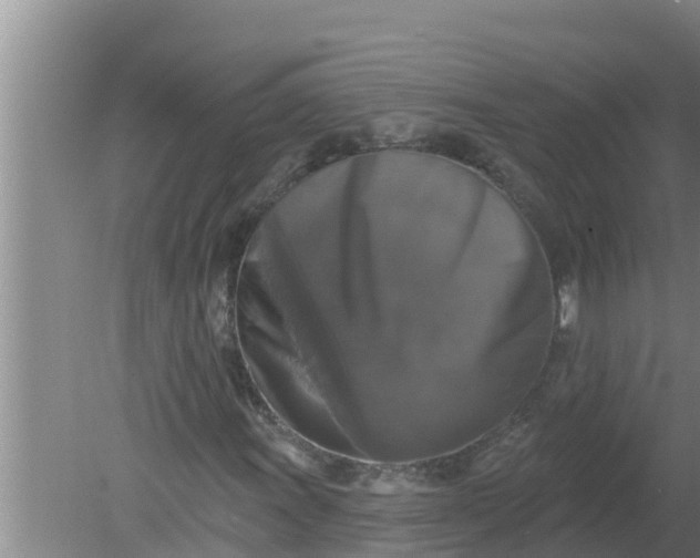 X0000080151011200612221943