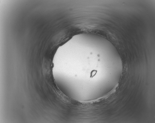 X0000080151012200612221943