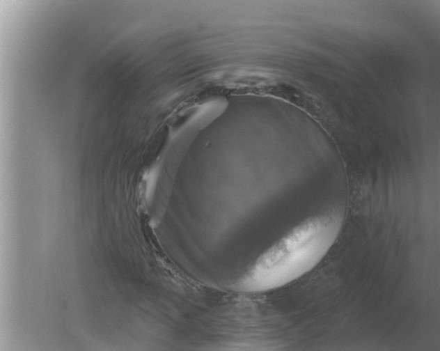 X0000080151013200612221943