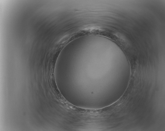 X0000080151014200612221943