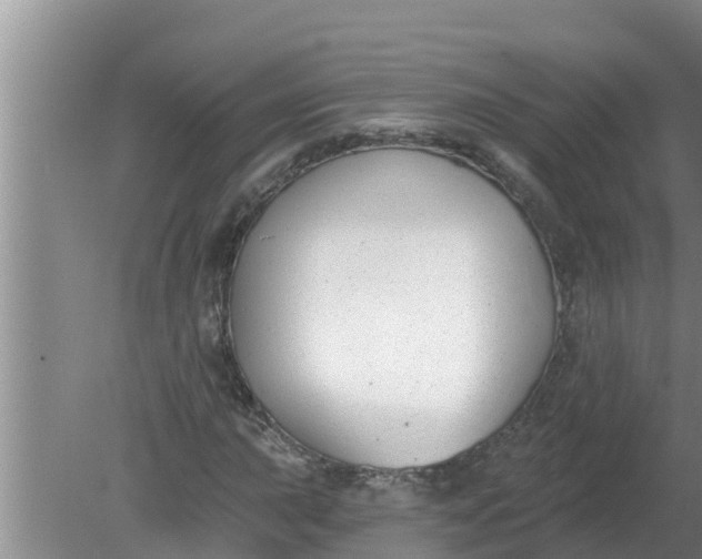 X0000080151015200612221943